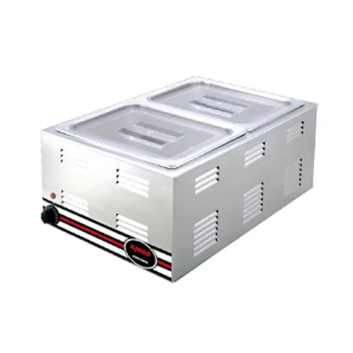Electric 2 Pans Food Warmer