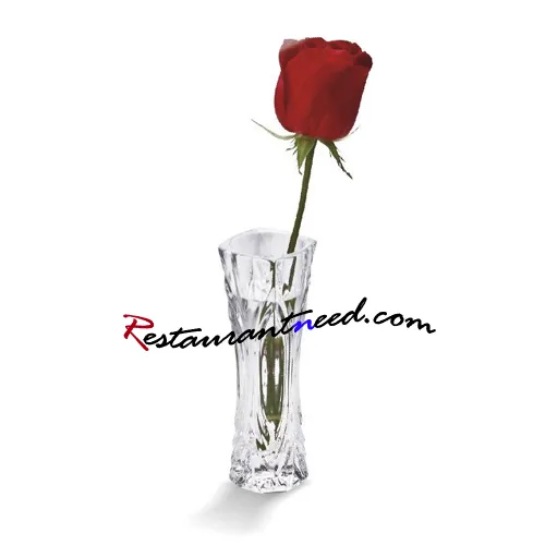 H167mm Acrylic Concave Body Vase