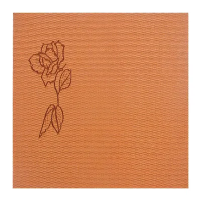 450*300mm PVC Dark Color Weave Placemat