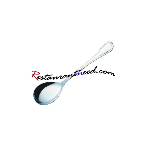 Stainless Steel Spoon