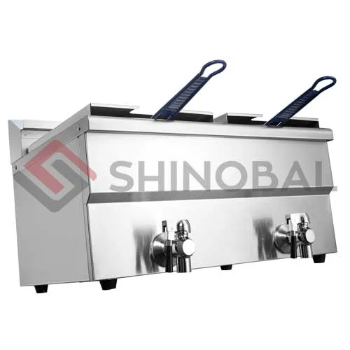 2-Tank 12L Electric Fryer for Commercial Kitchens