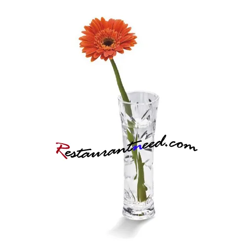 H187mm Acrylic Concave Body Vase